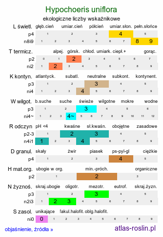 ekologiczne liczby wskaźnikowe Hypochoeris uniflora (prosienicznik jednogłówkowy)