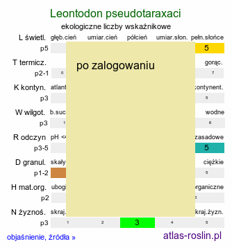 ekologiczne liczby wskaźnikowe Leontodon pseudotaraxaci (brodawnik tatrzański)
