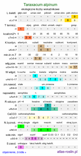 ekologiczne liczby wskaźnikowe Taraxacum alpinum (mniszek alpejski)