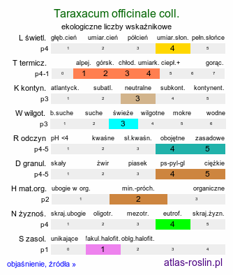 ekologiczne liczby wskaźnikowe Taraxacum officinale coll. (mniszek lekarski (coll.))