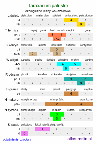 ekologiczne liczby wskaźnikowe Taraxacum palustre agg. (mniszek błotny)