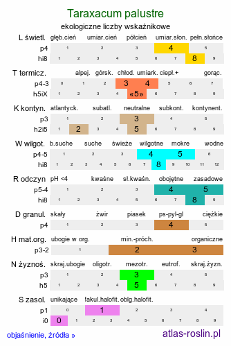 ekologiczne liczby wskaźnikowe Taraxacum palustre (mniszek błotny)