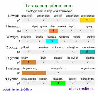 ekologiczne liczby wskaźnikowe Taraxacum pieninicum (mniszek pieniński)