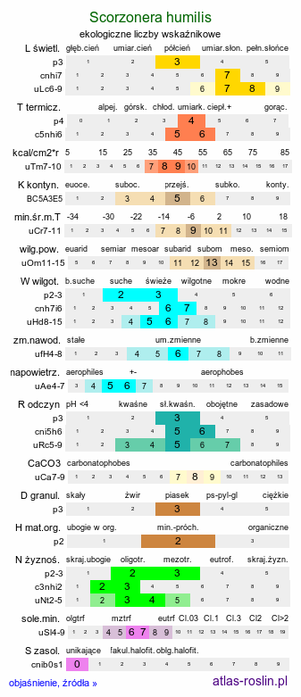 ekologiczne liczby wskaźnikowe Scorzonera humilis (wężymord niski)