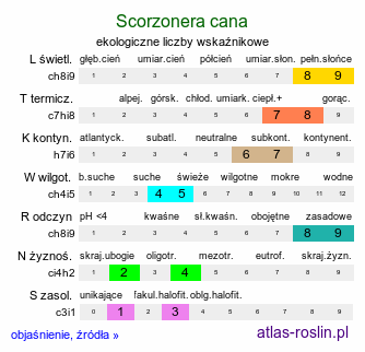 ekologiczne liczby wskaźnikowe Scorzonera cana (wężymord siwy)