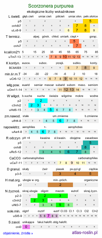 ekologiczne liczby wskaźnikowe Scorzonera purpurea (wężymord stepowy)