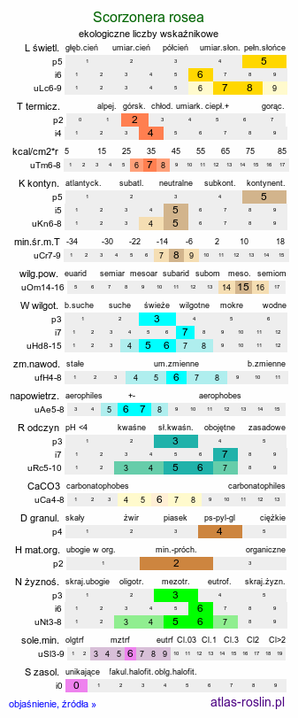 ekologiczne liczby wskaźnikowe Scorzonera rosea (wężymord górski)