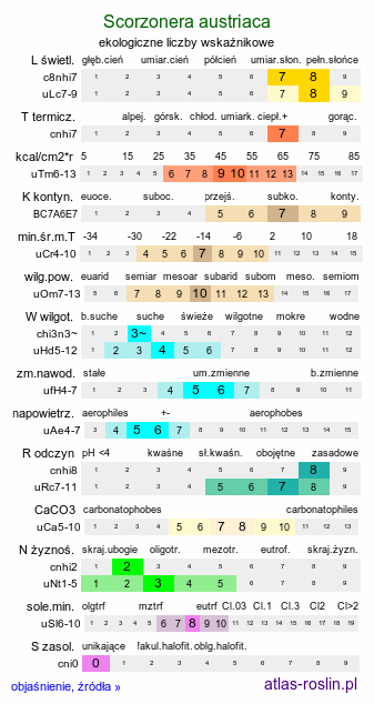 ekologiczne liczby wskaźnikowe Scorzonera austriaca