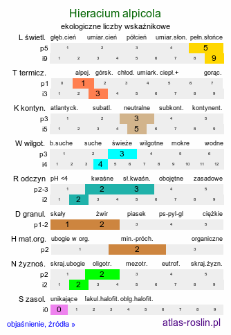 ekologiczne liczby wskaźnikowe Hieracium alpicola (jastrzębiec bródkowaty)