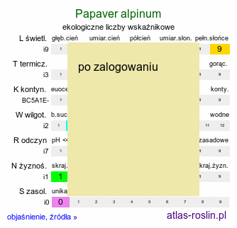 ekologiczne liczby wskaźnikowe Papaver alpinum (mak alpejski)