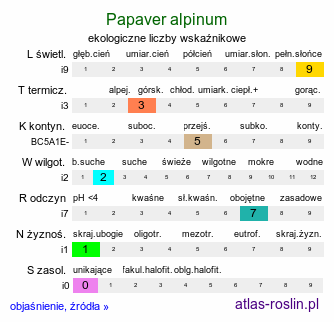ekologiczne liczby wskaźnikowe Papaver alpinum s.l. (mak alpejski)