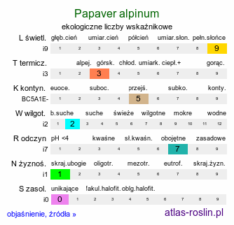 ekologiczne liczby wskaźnikowe Papaver alpinum (mak alpejski)