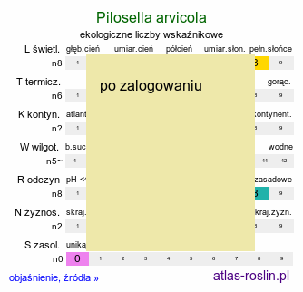 ekologiczne liczby wskaźnikowe Pilosella arvicola (kosmaczek ścierniskowy)