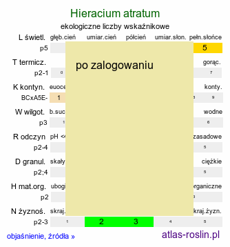ekologiczne liczby wskaźnikowe Hieracium atratum (jastrzębiec żałobny)
