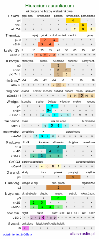 ekologiczne liczby wskaźnikowe Hieracium aurantiacum (jastrzębiec pomarańczowy)