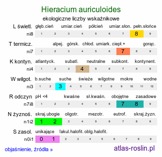 ekologiczne liczby wskaźnikowe Hieracium auriculoides (jastrzębiec pannoński)