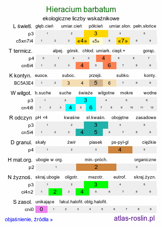 ekologiczne liczby wskaźnikowe Hieracium barbatum (jastrzębiec gałęzisty)