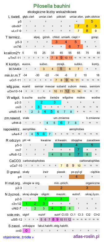 ekologiczne liczby wskaźnikowe Pilosella bauhini (kosmaczek Bauhina)