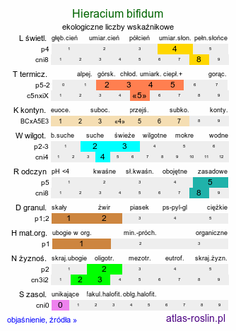 ekologiczne liczby wskaźnikowe Hieracium bifidum (jastrzębiec siny)