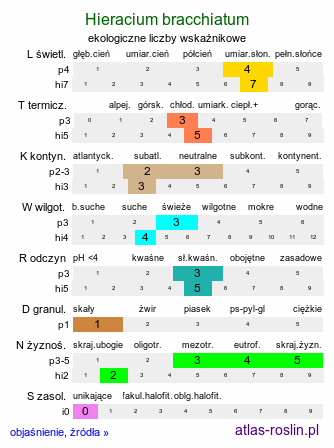 ekologiczne liczby wskaźnikowe Hieracium bracchiatum (jastrzębiec ramienisty)
