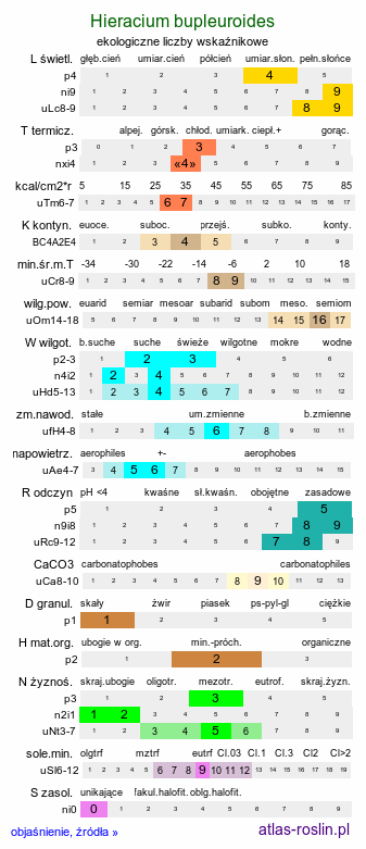 ekologiczne liczby wskaźnikowe Hieracium bupleuroides (jastrzębiec przewiertniowaty)