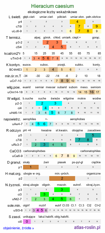 ekologiczne liczby wskaźnikowe Hieracium caesium (jastrzębiec modry)