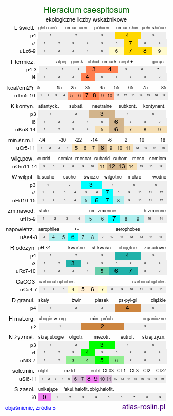 ekologiczne liczby wskaźnikowe Pilosella caespitosa (kosmaczek łąkowy)