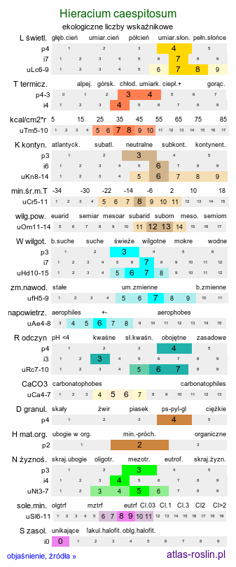 ekologiczne liczby wskaźnikowe Hieracium caespitosum (jastrzębiec łąkowy)