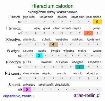 ekologiczne liczby wskaźnikowe Hieracium calodon (jastrzębiec ciepłolubny)