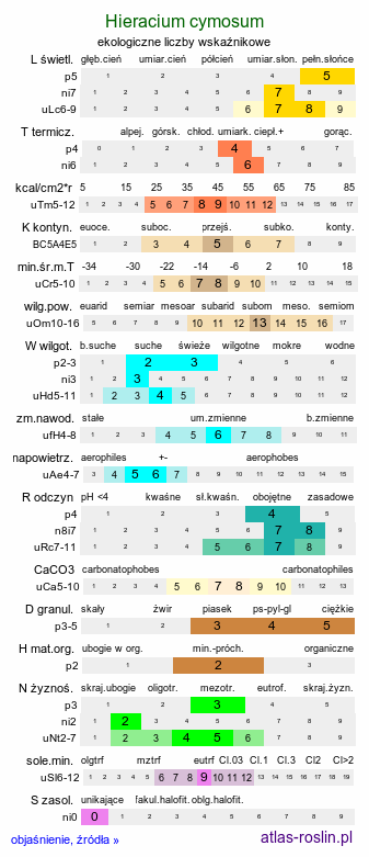 ekologiczne liczby wskaźnikowe Hieracium cymosum (jastrzębiec wierzchotkowy)