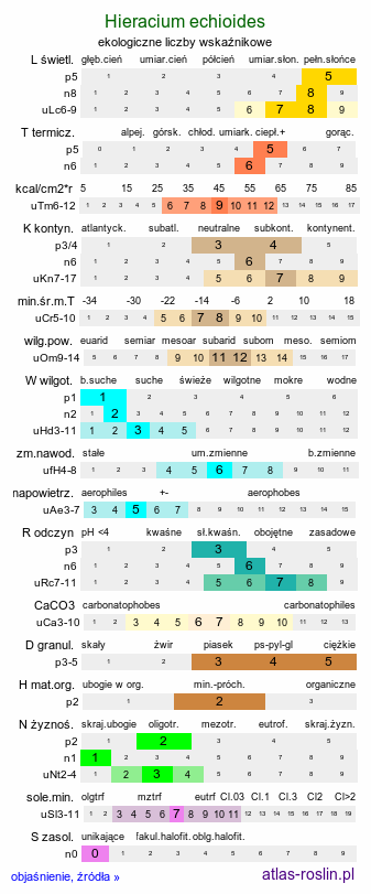 ekologiczne liczby wskaźnikowe Hieracium echioides (jastrzębiec żmijowcowaty)