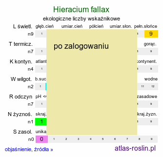 ekologiczne liczby wskaźnikowe Hieracium fallax (jastrzębiec włosisty)