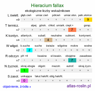 ekologiczne liczby wskaźnikowe Hieracium fallax (jastrzębiec włosisty)