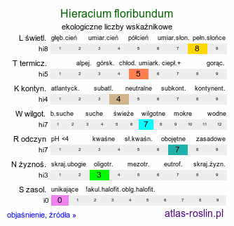 ekologiczne liczby wskaźnikowe Hieracium floribundum (jastrzębiec kwiecisty)