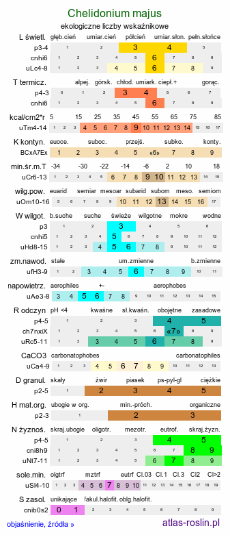 ekologiczne liczby wskaźnikowe Chelidonium majus (glistnik jaskółcze ziele)