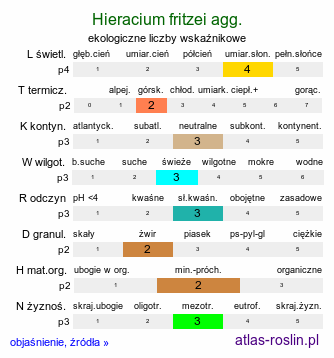 ekologiczne liczby wskaźnikowe Hieracium fritzei agg. (jastrzębiec Fritzego)