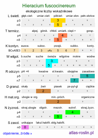 ekologiczne liczby wskaźnikowe Hieracium fuscocinereum (jastrzębiec strzałkowaty)