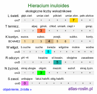 ekologiczne liczby wskaźnikowe Hieracium inuloides (jastrzębiec omanowaty)