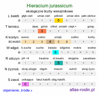 ekologiczne liczby wskaźnikowe Hieracium jurassicum (jastrzębiec jurajski)