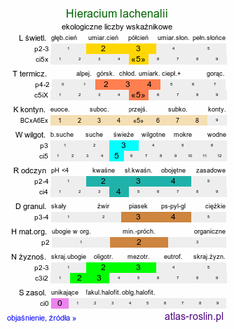 ekologiczne liczby wskaźnikowe Hieracium lachenalii (jastrzębiec Lachenala)