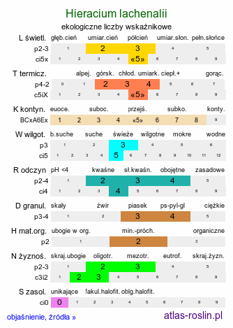 ekologiczne liczby wskaźnikowe Hieracium lachenalii (jastrzębiec Lachenala)