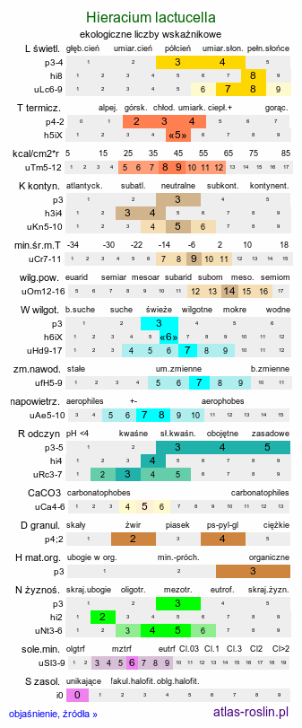 ekologiczne liczby wskaźnikowe Hieracium lactucella (jastrzębiec gronkowy)