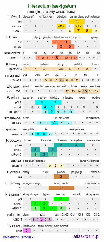 ekologiczne liczby wskaźnikowe Hieracium laevigatum (jastrzębiec gładki)