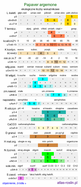ekologiczne liczby wskaźnikowe Papaver argemone (mak piaskowy)