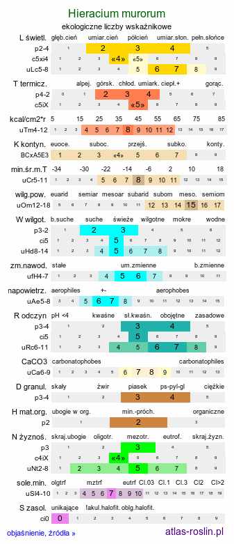 ekologiczne liczby wskaźnikowe Hieracium murorum (jastrzębiec leśny)