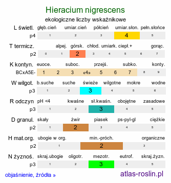 ekologiczne liczby wskaźnikowe Hieracium nigrescens (jastrzębiec czarniawy)