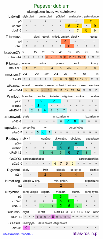 ekologiczne liczby wskaźnikowe Papaver dubium (mak wątpliwy)