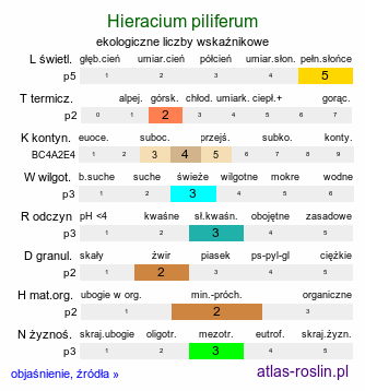 ekologiczne liczby wskaźnikowe Hieracium piliferum (jastrzębiec włosisty)