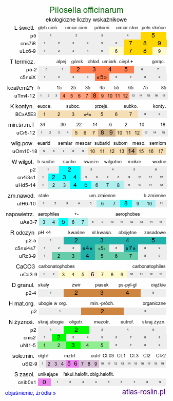 ekologiczne liczby wskaźnikowe Pilosella officinarum (jastrzębiec kosmaczek)