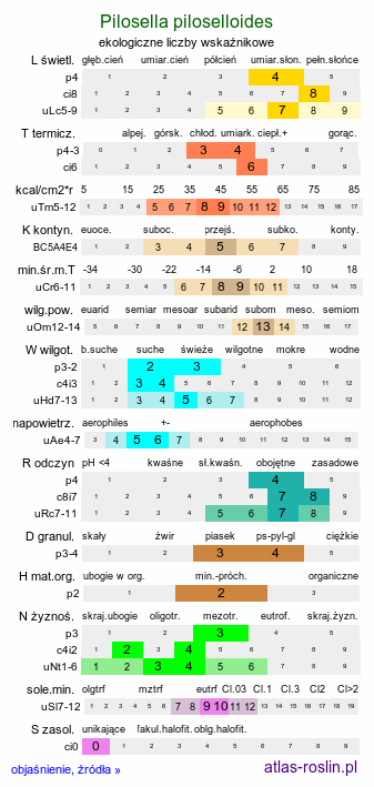 ekologiczne liczby wskaźnikowe Pilosella piloselloides (kosmaczek wysoki)